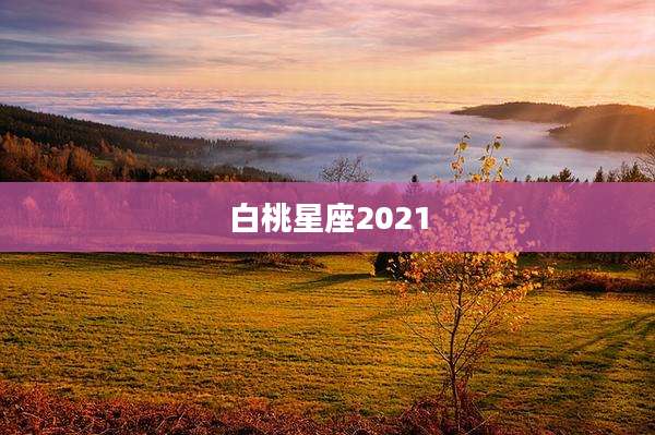 白桃星座2021