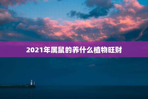 2021年属鼠的养什么植物旺财
