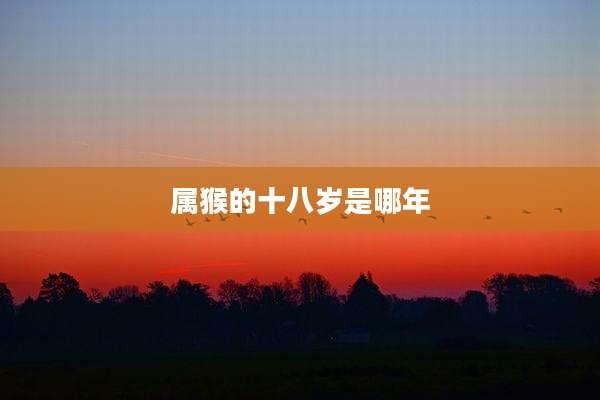 属猴的十八岁是哪年