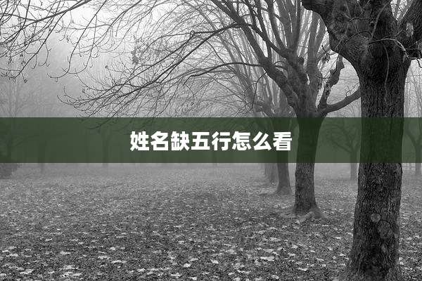 姓名缺五行怎么看
