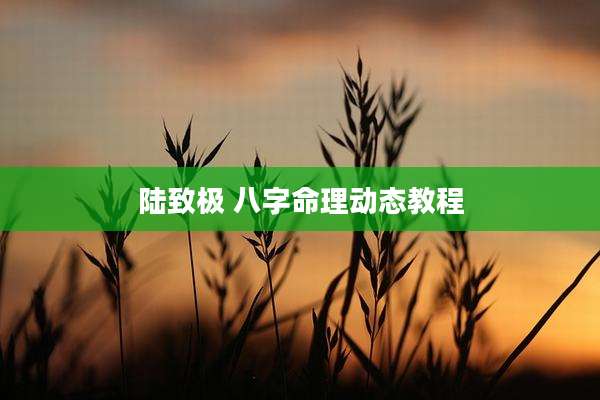 陆致极 八字命理动态教程