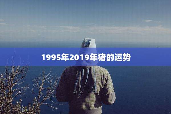 1995年2019年猪的运势