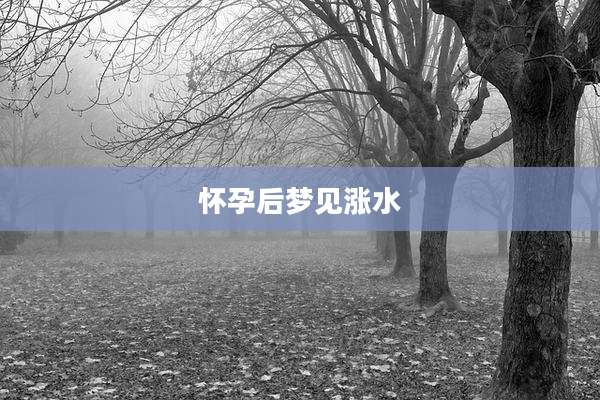 怀孕后梦见涨水
