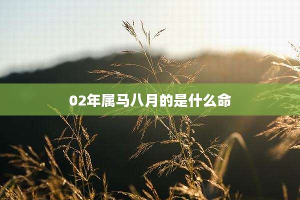 02年属马八月的是什么命