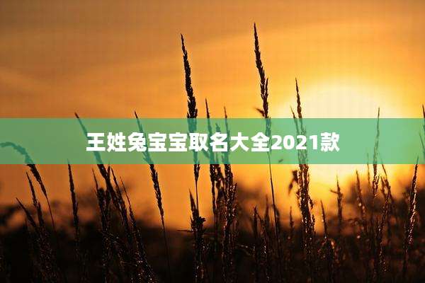 王姓兔宝宝取名大全2021款