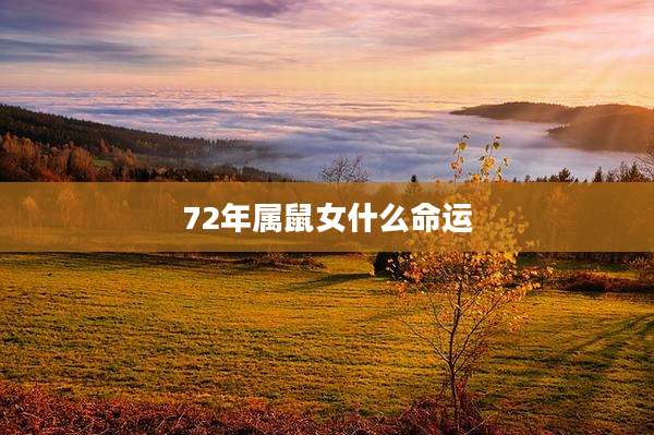 72年属鼠女什么命运