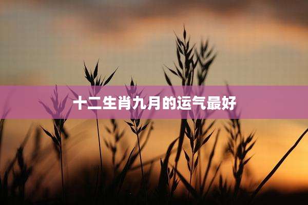 十二生肖九月的运气最好