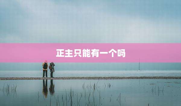 正主只能有一个吗