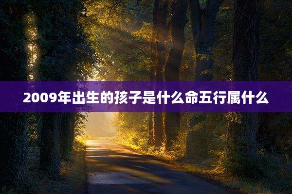 2009年出生的孩子是什么命五行属什么