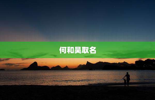 何和吴取名