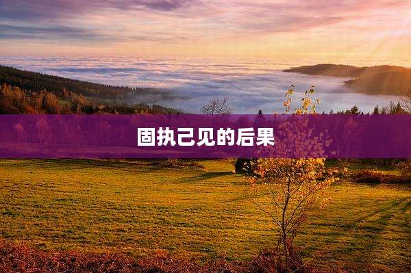 固执己见的后果