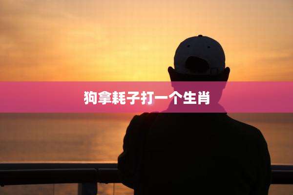 狗拿耗子打一个生肖