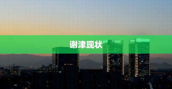 谢津现状