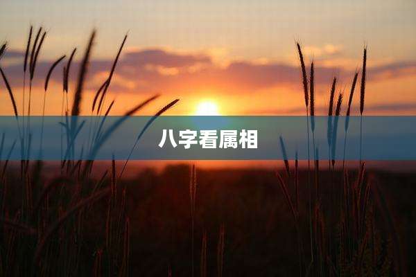 八字看属相