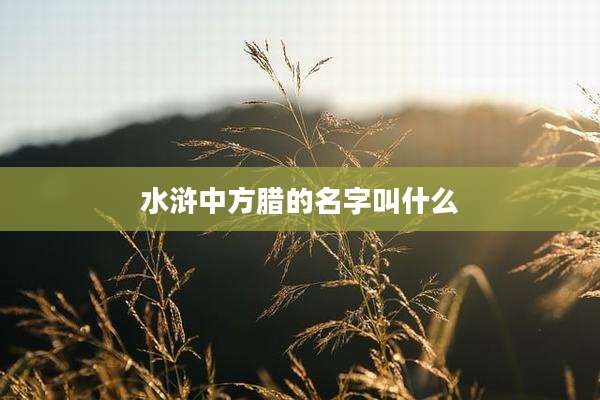 水浒中方腊的名字叫什么