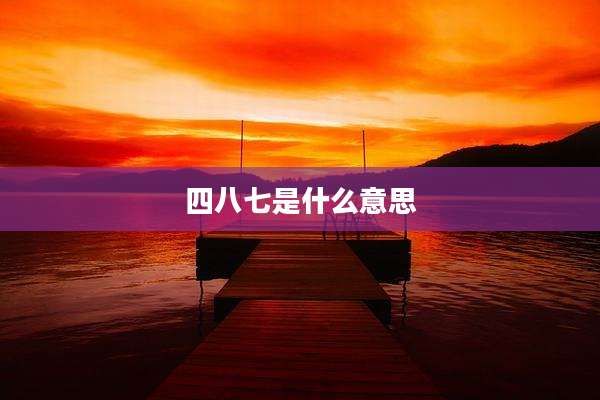 四八七是什么意思