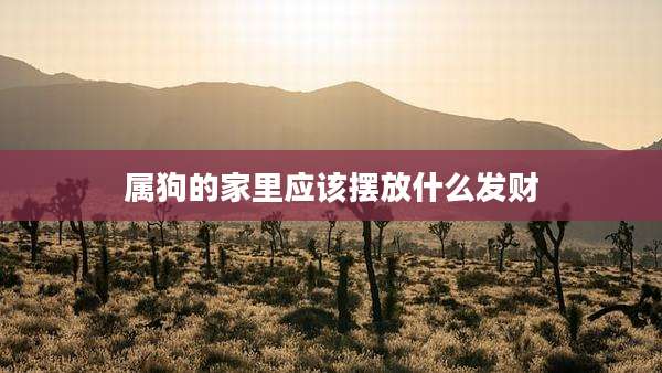 属狗的家里应该摆放什么发财