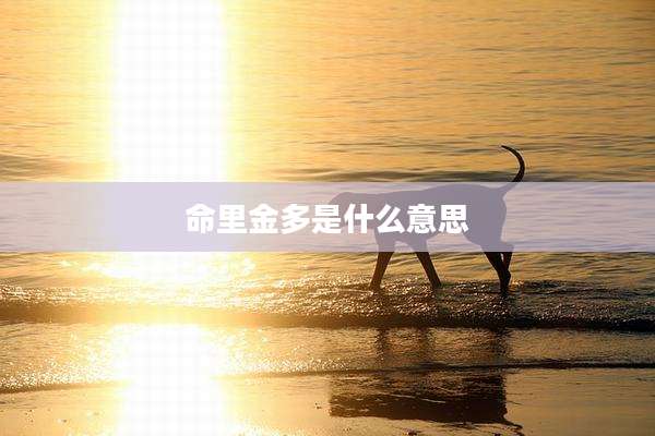 命里金多是什么意思