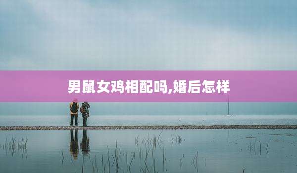 男鼠女鸡相配吗,婚后怎样