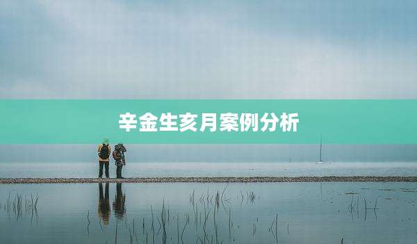 辛金生亥月案例分析