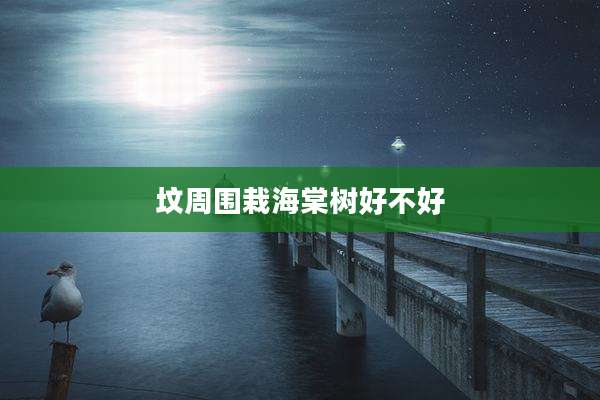 坟周围栽海棠树好不好