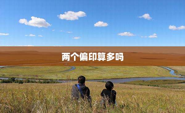 两个偏印算多吗