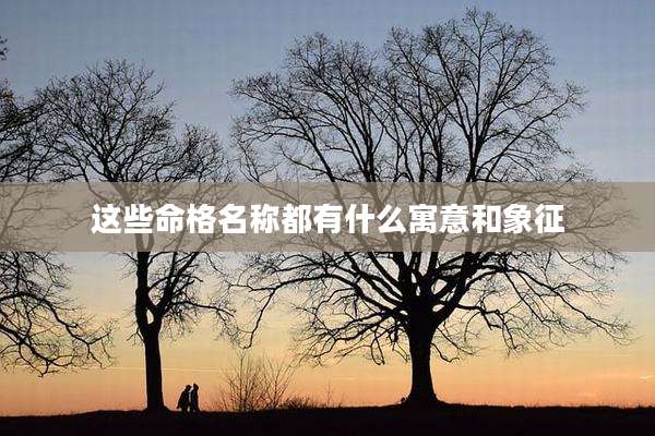 这些命格名称都有什么寓意和象征