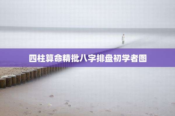 四柱算命精批八字排盘初学者图