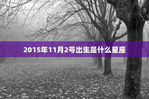 2015年11月2号出生是什么星座