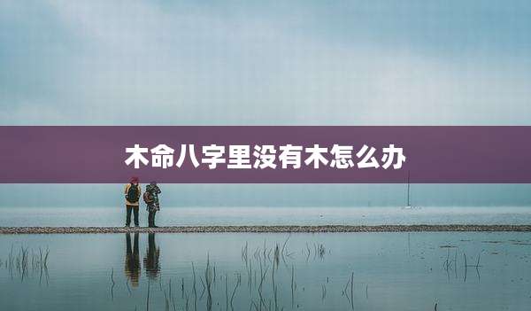 木命八字里没有木怎么办
