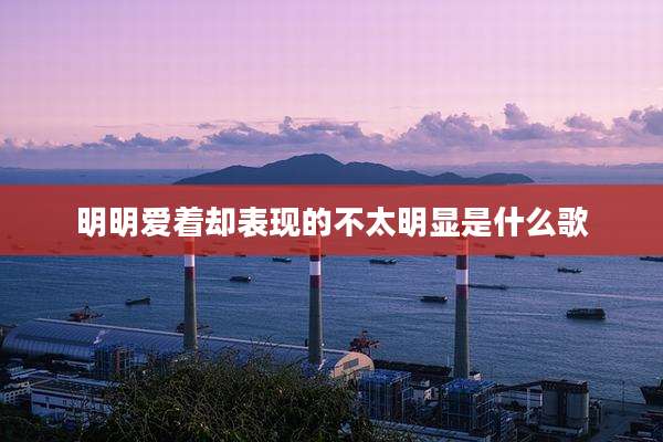 明明爱着却表现的不太明显是什么歌