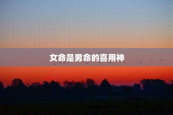 女命是男命的喜用神