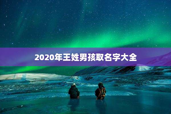 2020年王姓男孩取名字大全