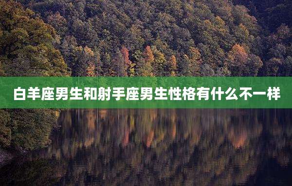 白羊座男生和射手座男生性格有什么不一样