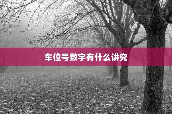 车位号数字有什么讲究