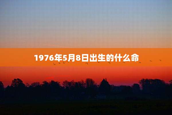 1976年5月8日出生的什么命