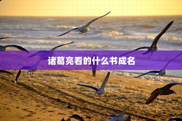 诸葛亮看的什么书成名