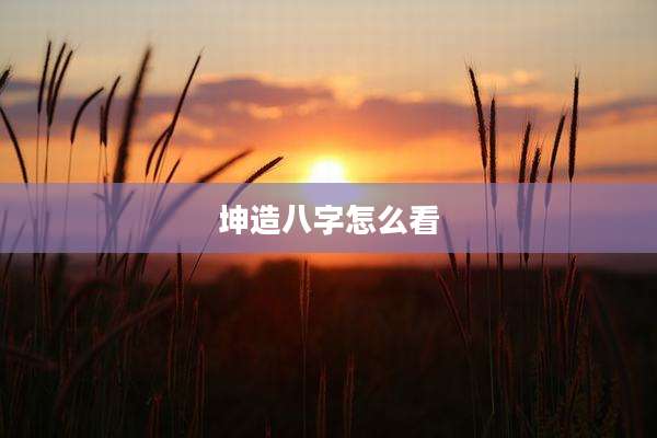 坤造八字怎么看