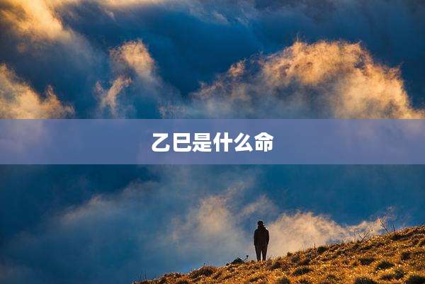 乙巳是什么命