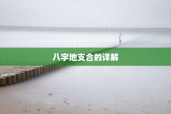 八字地支合的详解