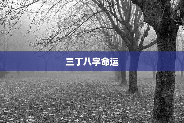 三丁八字命运