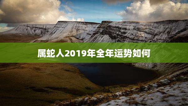 属蛇人2019年全年运势如何