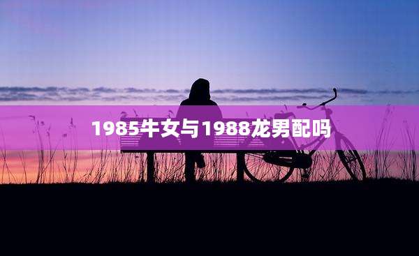 1985牛女与1988龙男配吗