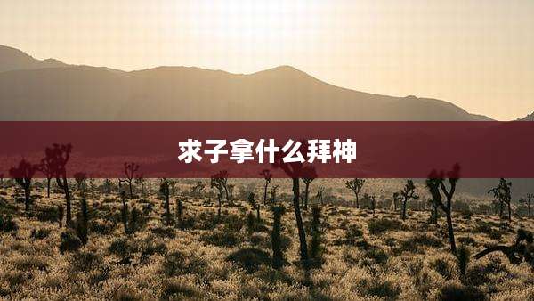 求子拿什么拜神