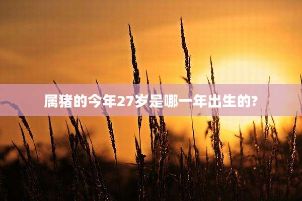 属猪的今年27岁是哪一年出生的?