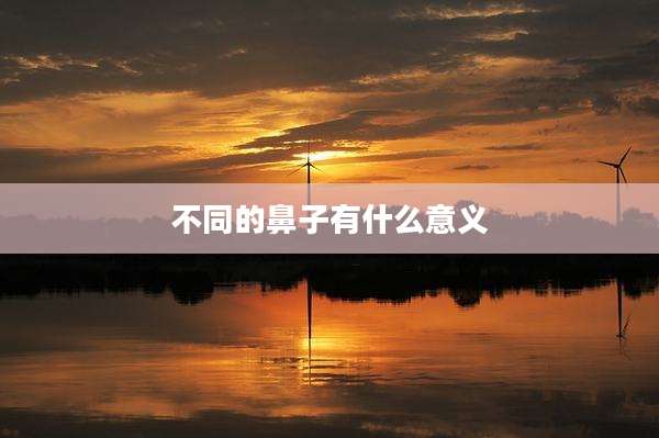 不同的鼻子有什么意义
