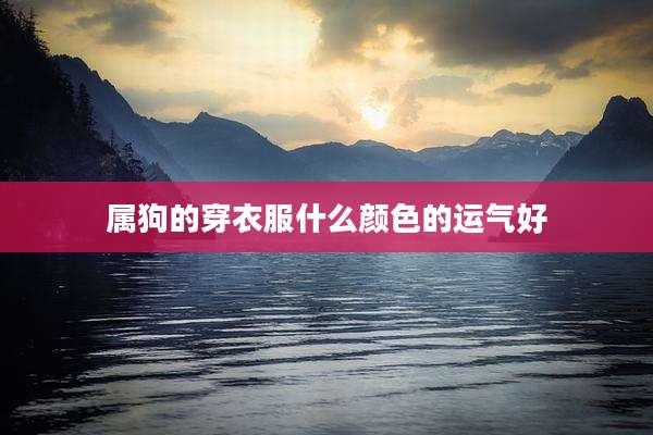 属狗的穿衣服什么颜色的运气好