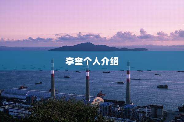 李奎个人介绍