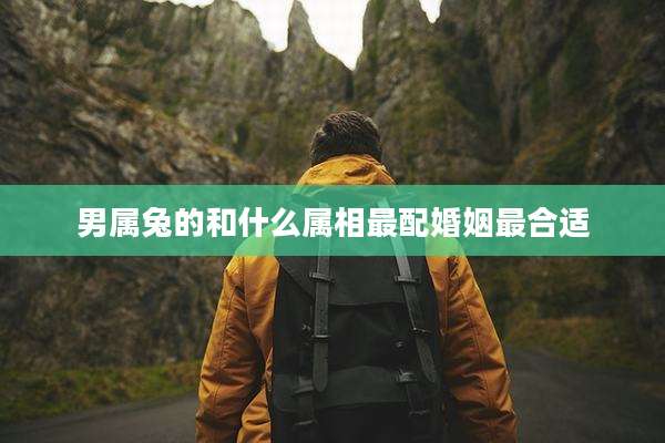 男属兔的和什么属相最配婚姻最合适