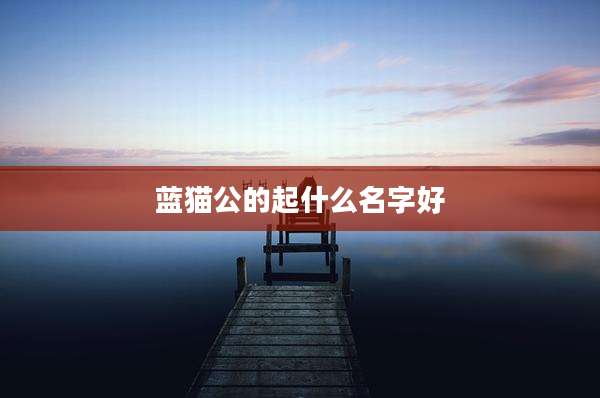 蓝猫公的起什么名字好